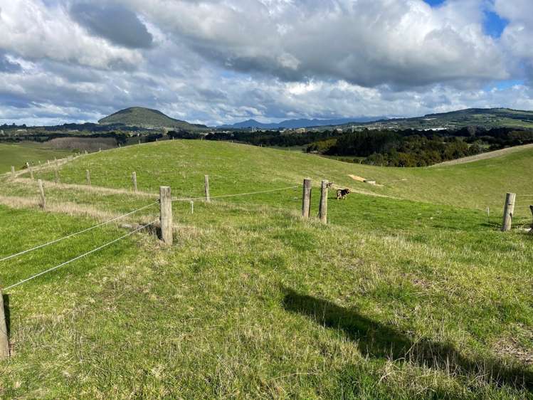 227 Kokopu Block Road Maungatapere_5