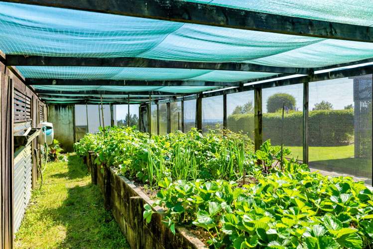 551 Frankley Road Hurworth_31