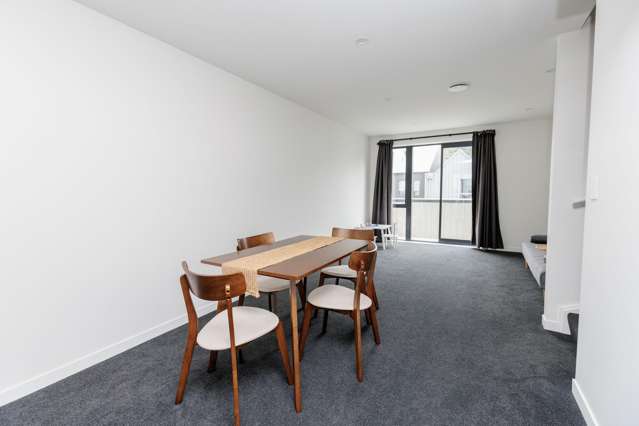 27 Ara Paiwhenua Tawa_4