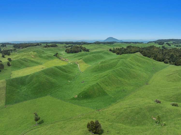 103 Rendall Road Rotoma_13