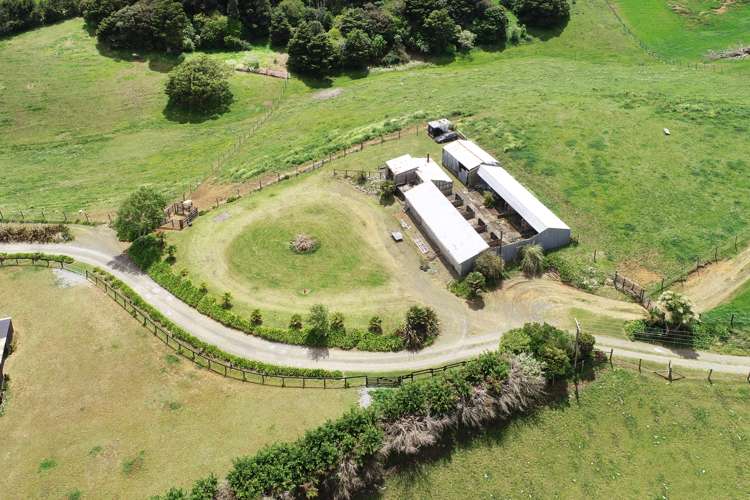 124 Rogers Road Puni_6