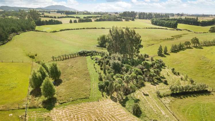 59 Brueres Road Sefton_19