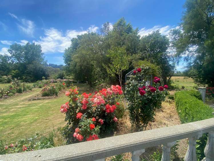 333 Munro Road Cheviot_5