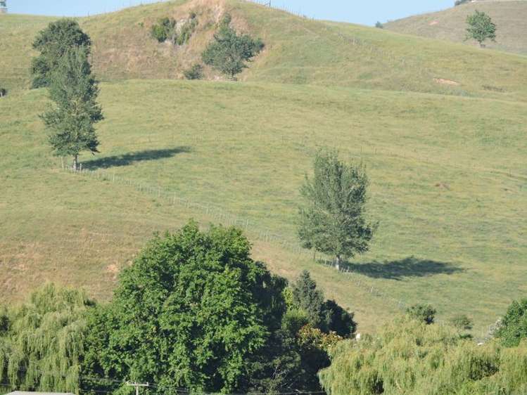 Taotaoroa Road Matamata_6