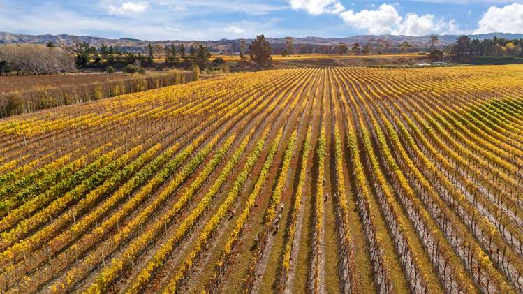 1523 Redwood Pass Road Seddon_6