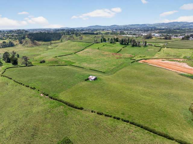764 SH 29 Ferncliffe Farm Tauriko_4