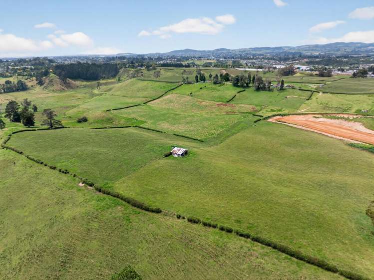 764 SH 29 Ferncliffe Farm Tauriko_4