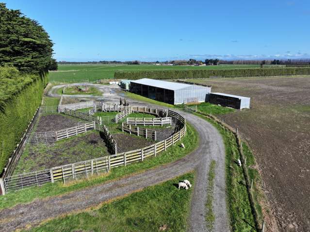 140 Day Road Oreti Plains_2