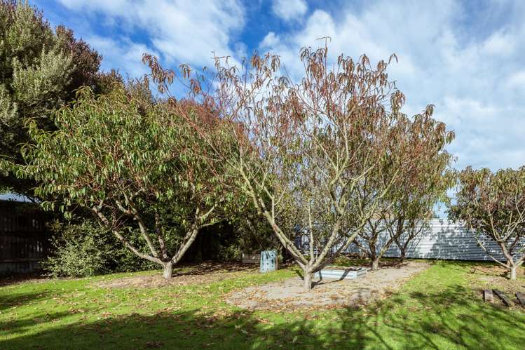 37 Gray Street Hinds_21