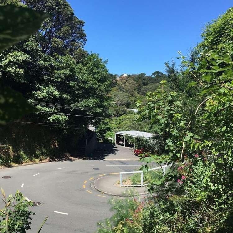 73 Garden Road Northland_3