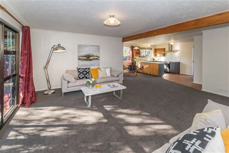 52c Middlepark Road Sockburn_14