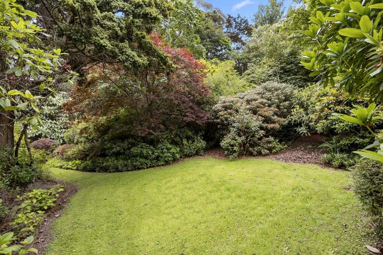 211 Doctors Point Road Waitati_27