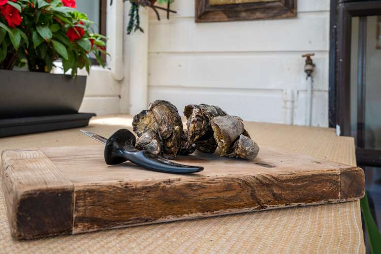 402 Orapiu Road Waiheke Island_34