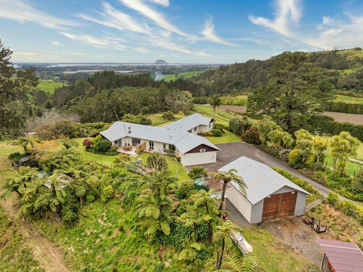 257F Whakamarama Road Whakamarama_10