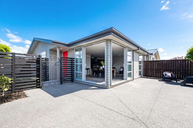 31 Seddon Street Sydenham_21