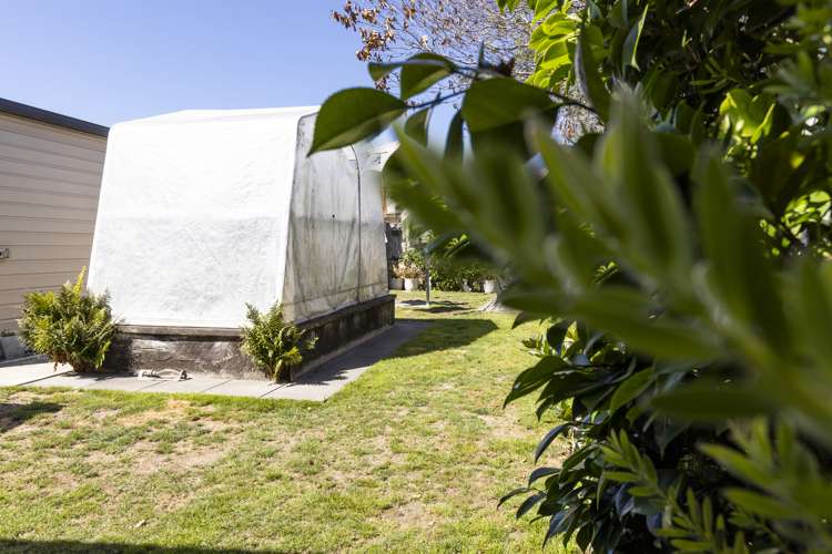 142 Maxwell Road Redwoodtown_22