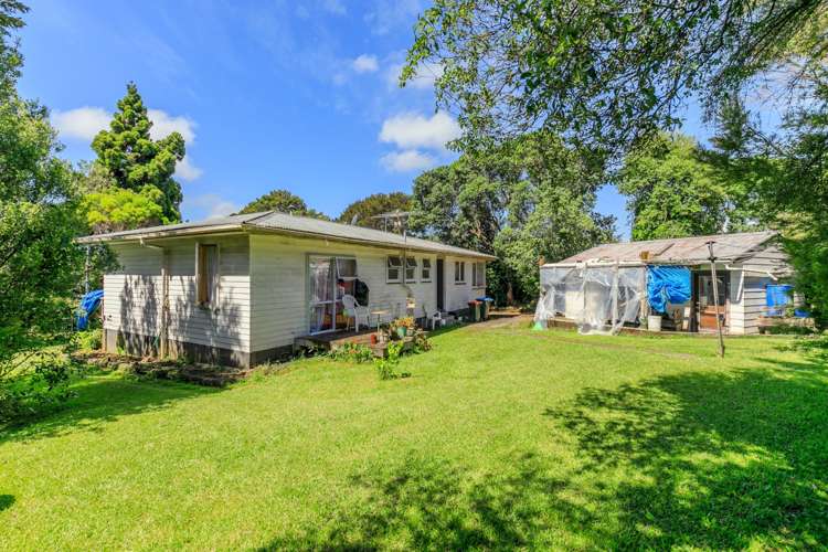 3a Tutuki Street Waterview_7