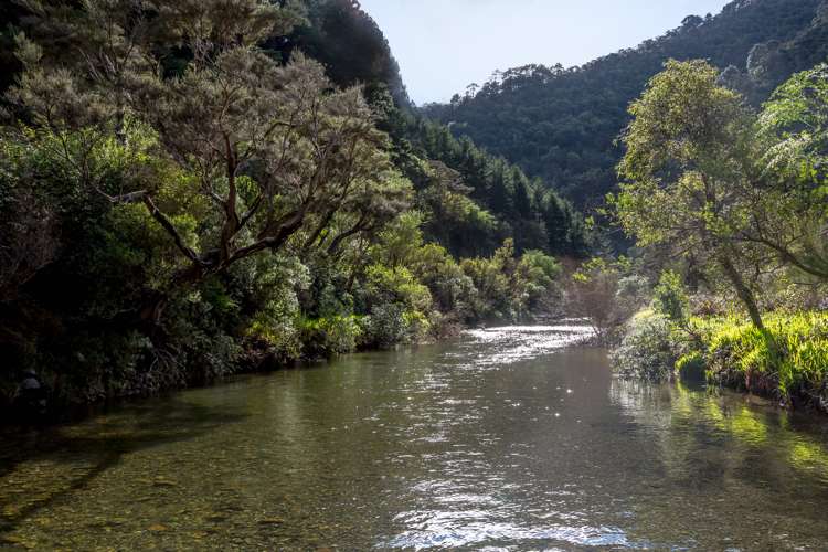 512 Mangatarere Valley Road Carterton_8