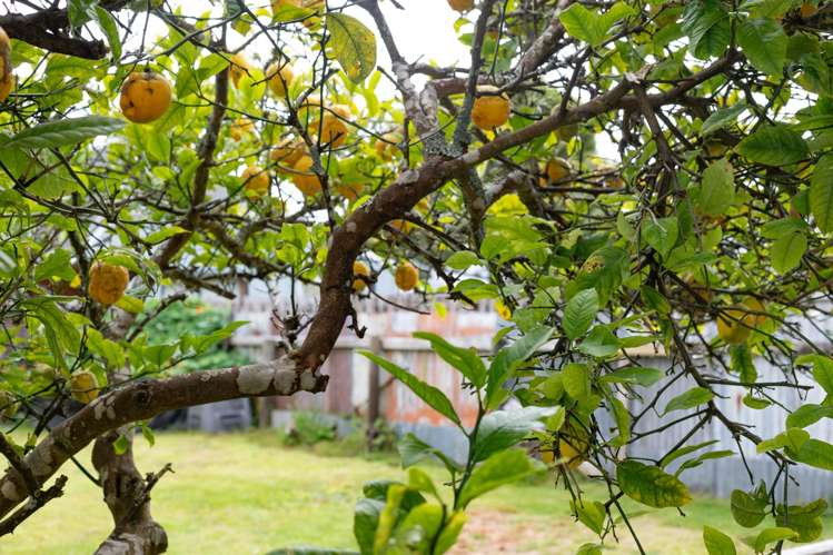 14 Marlborough Street Greymouth_28