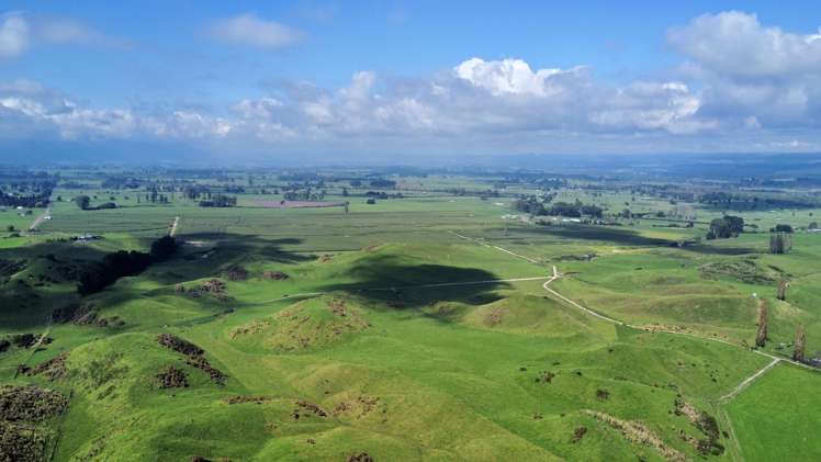 3931 Galatea Road Murupara Surrounds_7