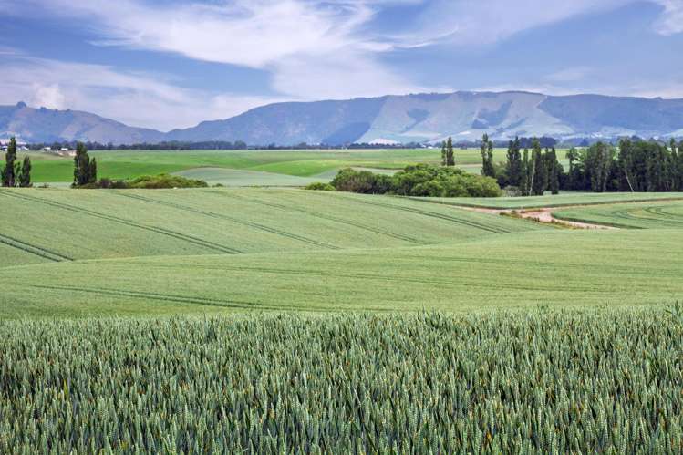 142 Deep Creek Road Waimate_8