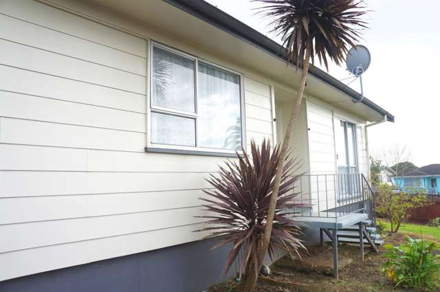 45 Alabaster Drive Papatoetoe_3