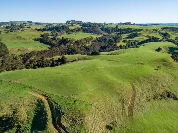 416 Kauri Road Onewhero_7