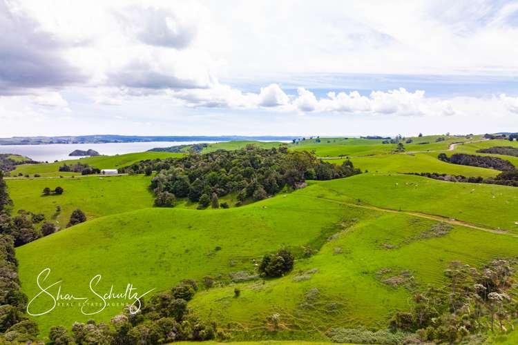 1509 Tinopai Road Tinopai_17