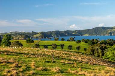 Share 18 Moturoa Island_1