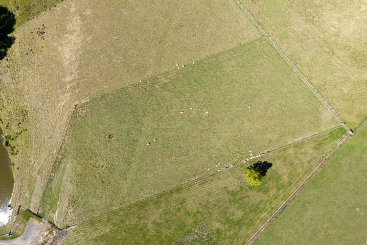 101 Kyle Road Waipukurau_8
