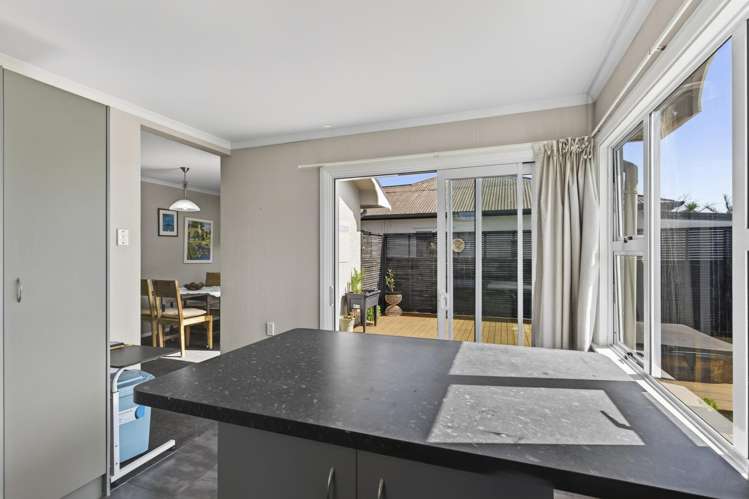 317 Carrington Street Vogeltown_7