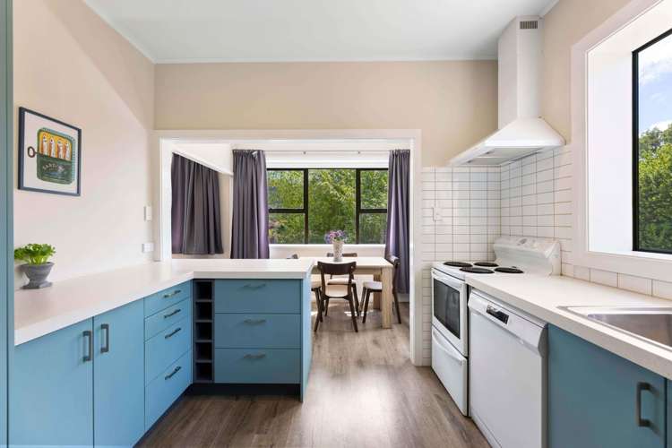 41 Mayfield Avenue Wakari_12