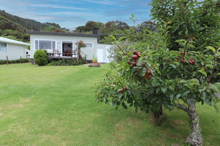 7 Hazlett Road Te Mata_17