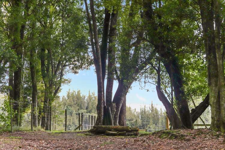 387 Tauranga Direct Road Hamurana_38