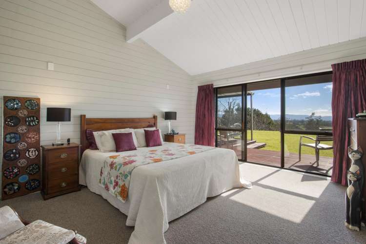 480C Youngson Road Whakamarama_18