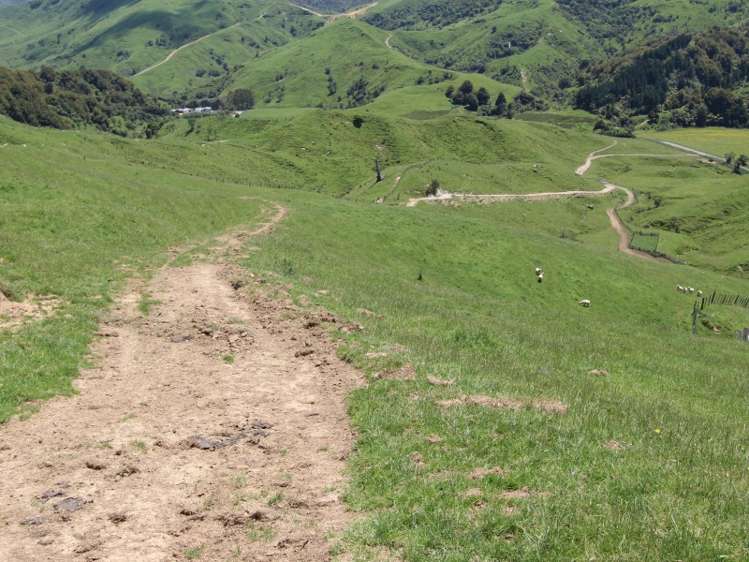 934 Coonoor Road Pahiatua_7