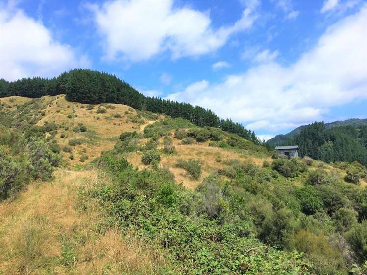 146 Akatarawa Road Waikanae_17