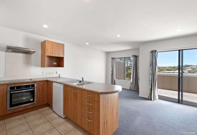 11/17 Georgia Terrace Albany_1