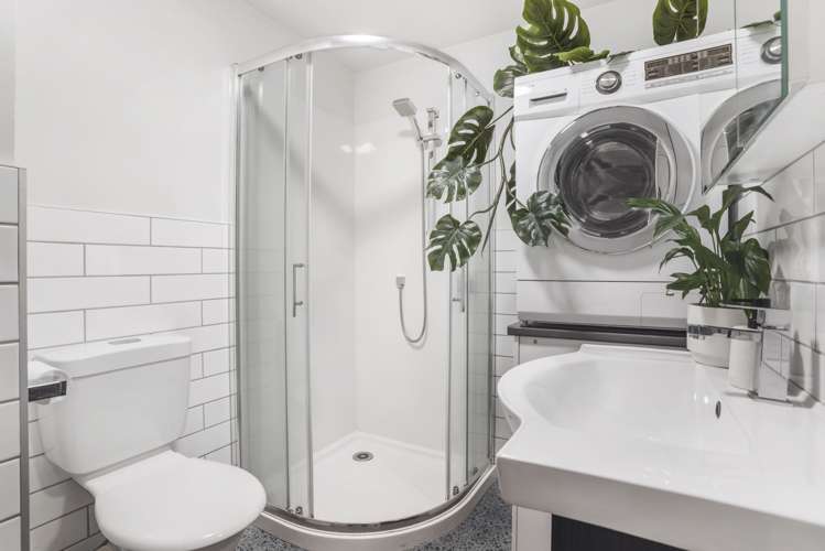 10/20 Central Road Kingsland_10