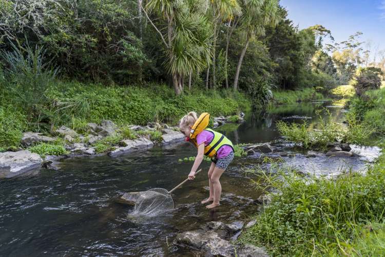 102 Fitzpatrick Road Brookby_32