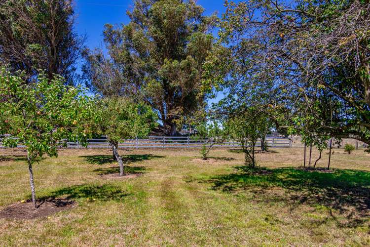 259 Glasnevin Road Amberley_16