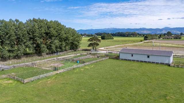 220 Tiffin Road Carterton_2