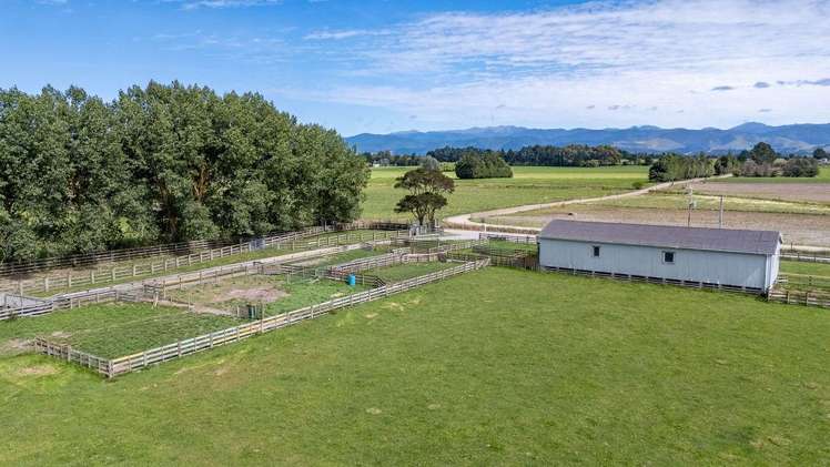 220 Tiffin Road Carterton_2