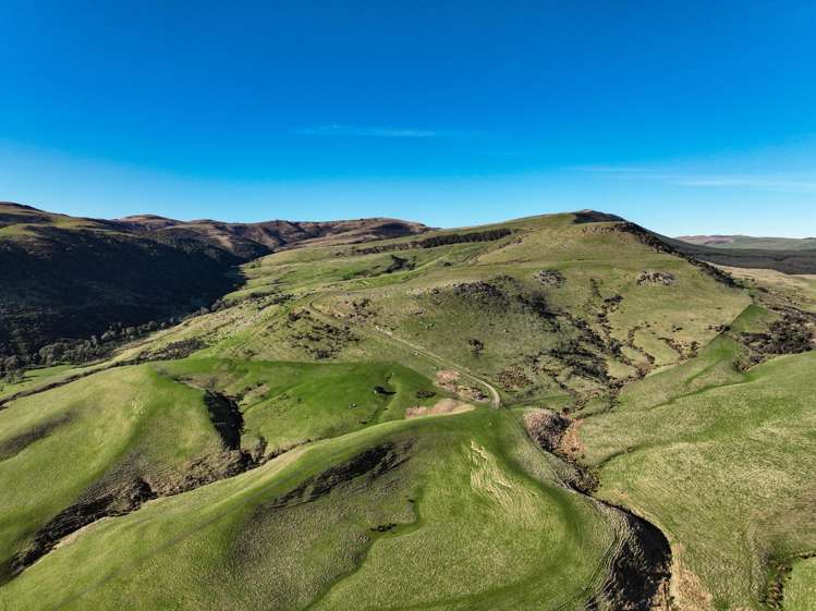 Hole and Corner Road Ferndale_3