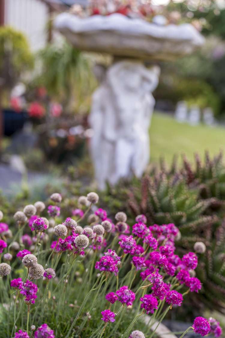 20 Muscat Place Henderson_29