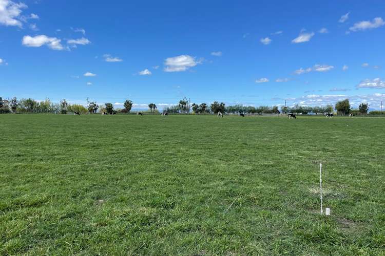 Mount Stewart Halcombe Road Sanson_9