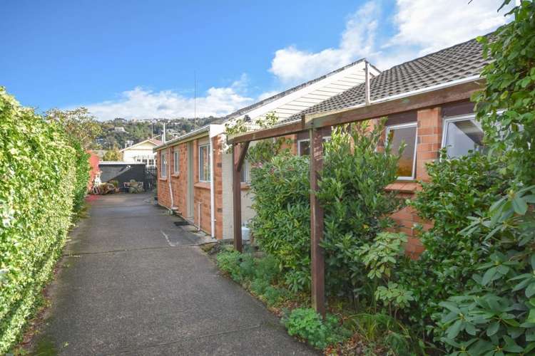 84b Hargest Crescent Saint Clair_16