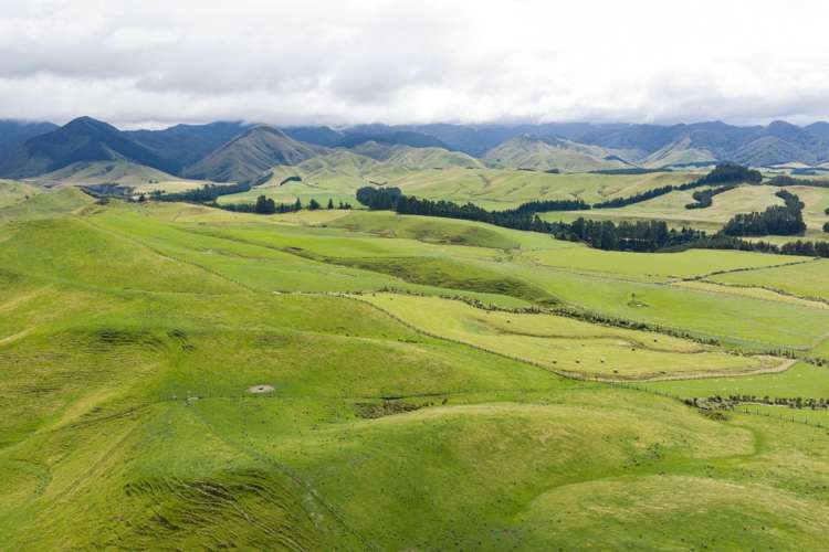 412 France Road Matamau_7