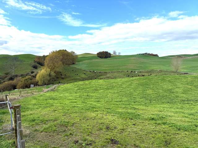 Overdale Road Putaruru_4