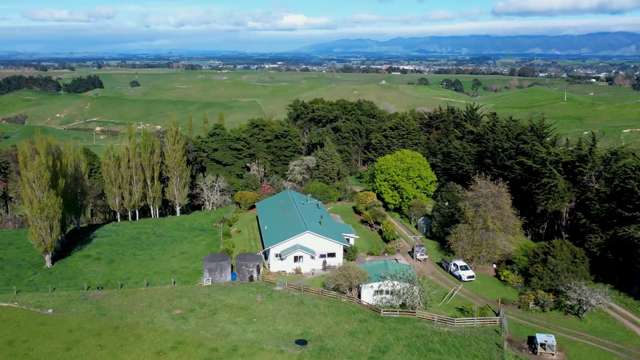 153 Knight Road Dannevirke_2